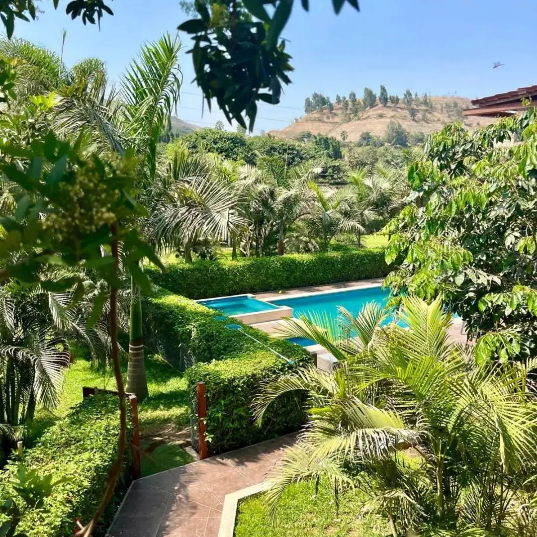 El Pino de Cardal Pachacamac