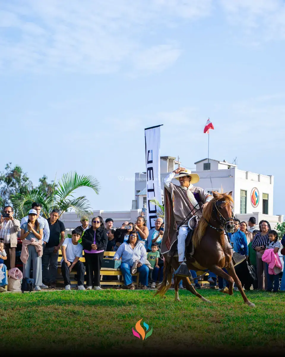 Hacienda Las Leñas